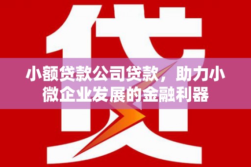 镇巴小额贷款公司贷款，助力小微企业发展的金融利器