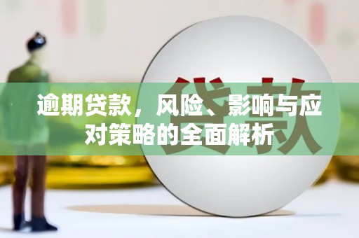 镇巴逾期贷款，风险、影响与应对策略的全面解析