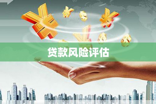 镇巴贷款风险评估