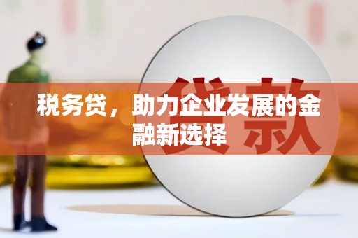 镇巴税务贷，助力企业发展的金融新选择