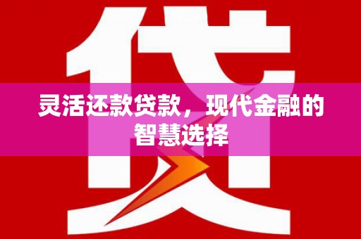 镇巴灵活还款贷款，现代金融的智慧选择