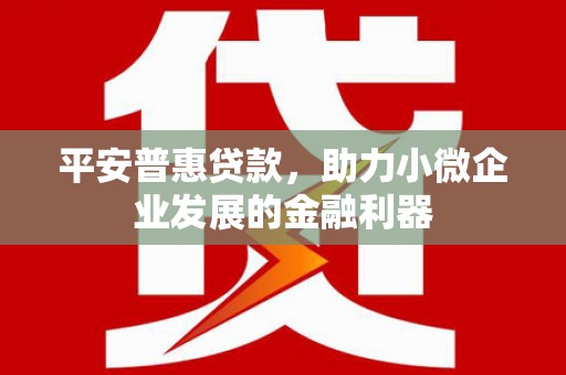 镇巴平安普惠贷款，助力小微企业发展的金融利器