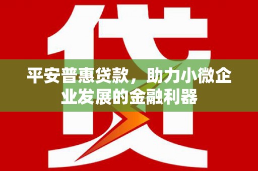 镇巴平安普惠贷款，助力小微企业发展的金融利器