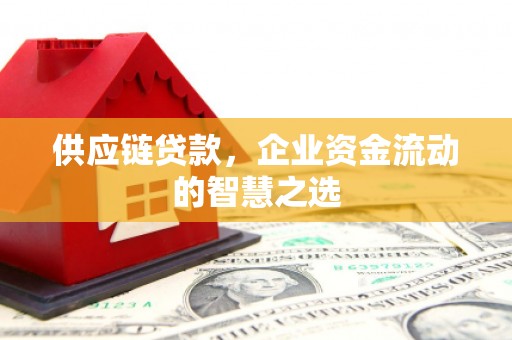 镇巴供应链贷款，企业资金流动的智慧之选
