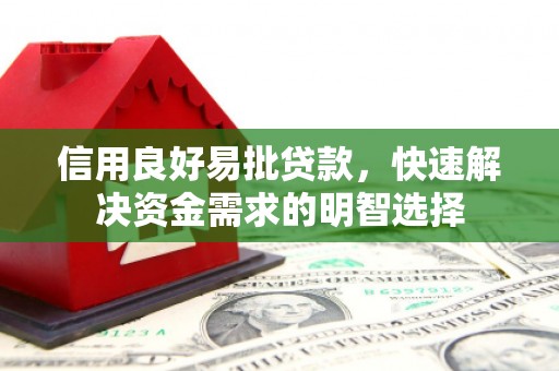 镇巴信用良好易批贷款，快速解决资金需求的明智选择