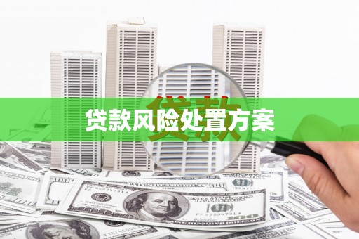 镇巴贷款风险处置方案