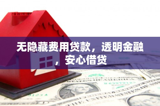 镇巴无隐藏费用贷款，透明金融，安心借贷