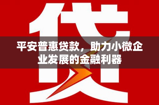 镇巴平安普惠贷款，助力小微企业发展的金融利器