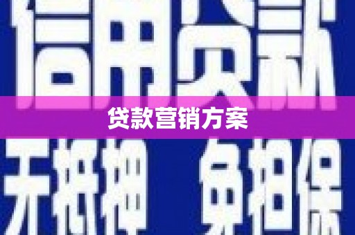 镇巴贷款营销方案