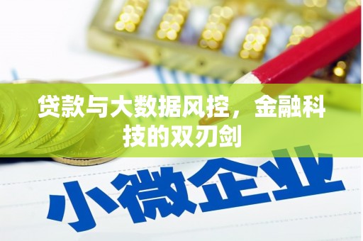 镇巴贷款与大数据风控，金融科技的双刃剑