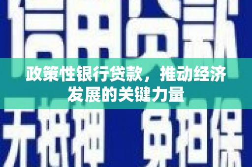 镇巴政策性银行贷款，推动经济发展的关键力量