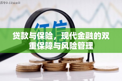 镇巴贷款与保险，现代金融的双重保障与风险管理