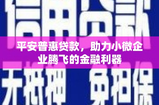 镇巴平安普惠贷款，助力小微企业腾飞的金融利器
