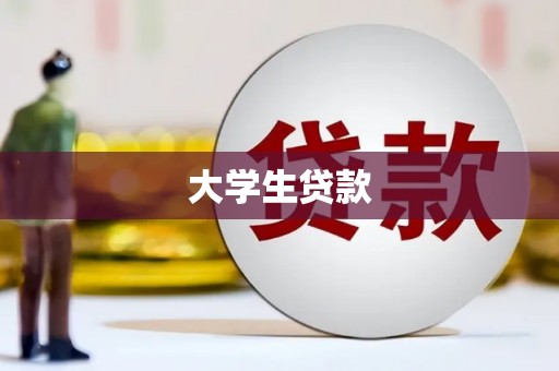 镇巴大学生贷款