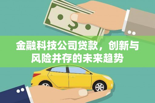 镇巴金融科技公司贷款，创新与风险并存的未来趋势
