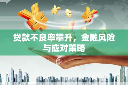 镇巴贷款不良率攀升，金融风险与应对策略