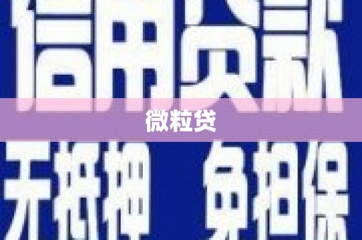 镇巴微粒贷