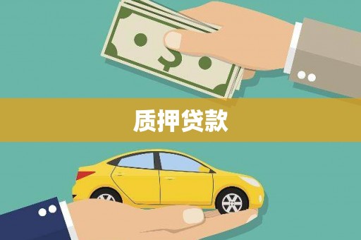 镇巴质押贷款