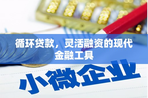 镇巴循环贷款，灵活融资的现代金融工具