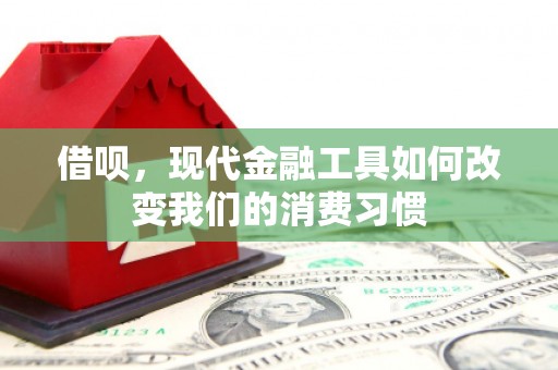 镇巴借呗，现代金融工具如何改变我们的消费习惯
