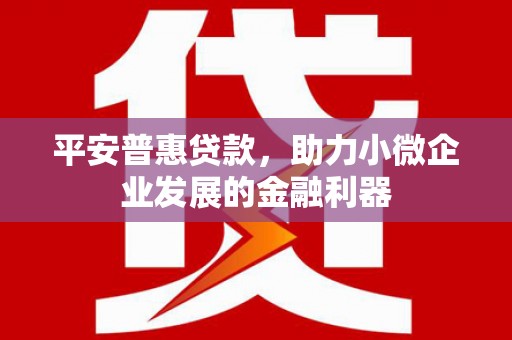 镇巴平安普惠贷款，助力小微企业发展的金融利器