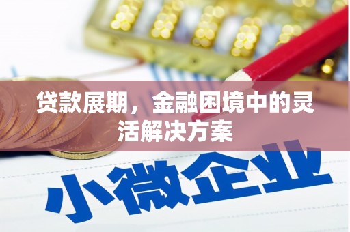 镇巴贷款展期，金融困境中的灵活解决方案