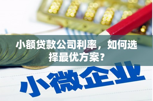 镇巴小额贷款公司利率，如何选择最优方案？