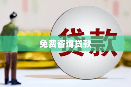 镇巴免费咨询贷款