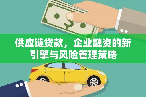 镇巴供应链贷款，企业融资的新引擎与风险管理策略