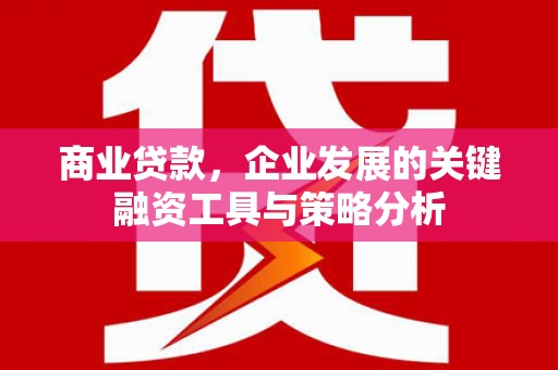 镇巴商业贷款，企业发展的关键融资工具与策略分析