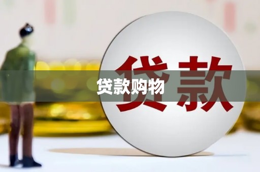 镇巴贷款购物