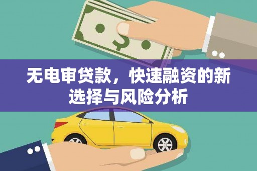 镇巴无电审贷款，快速融资的新选择与风险分析