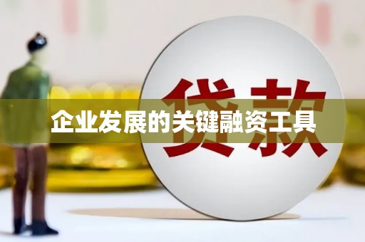 镇巴企业发展的关键融资工具
