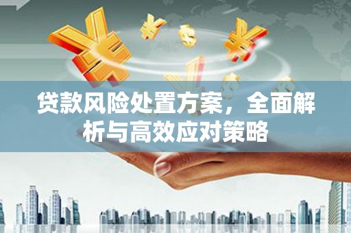 镇巴贷款风险处置方案，全面解析与高效应对策略