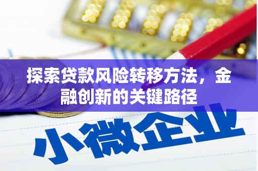 镇巴探索贷款风险转移方法，金融创新的关键路径