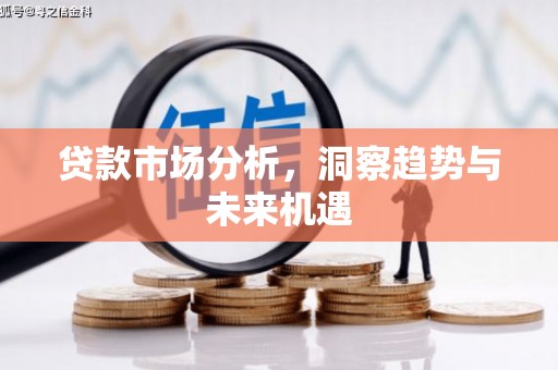 镇巴贷款市场分析，洞察趋势与未来机遇