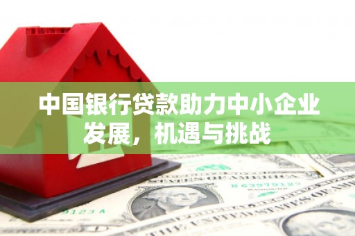 镇巴中国银行贷款助力中小企业发展，机遇与挑战