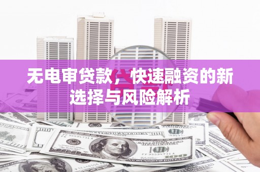 镇巴无电审贷款，快速融资的新选择与风险解析