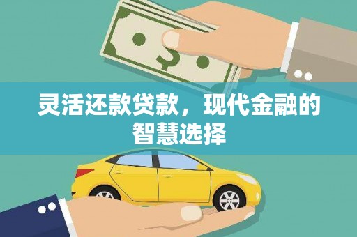 镇巴灵活还款贷款，现代金融的智慧选择