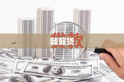 镇巴随薪贷