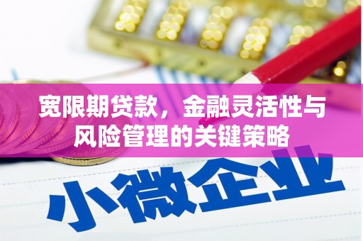 镇巴宽限期贷款，金融灵活性与风险管理的关键策略