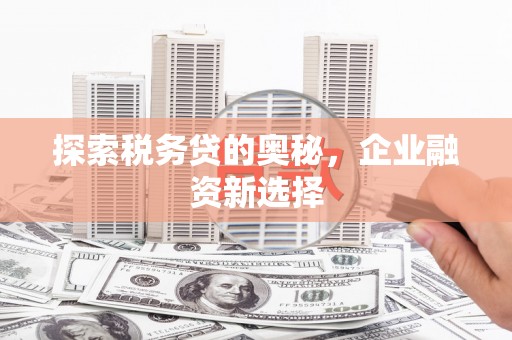 镇巴探索税务贷的奥秘，企业融资新选择