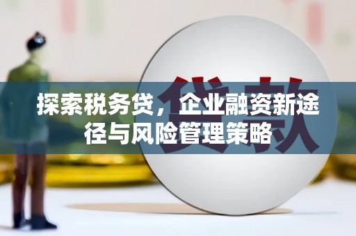 镇巴探索税务贷，企业融资新途径与风险管理策略