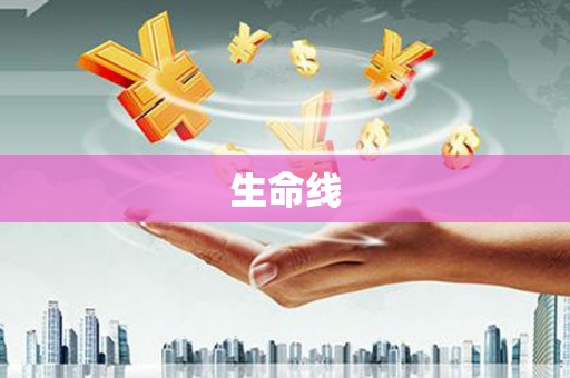 镇巴生命线