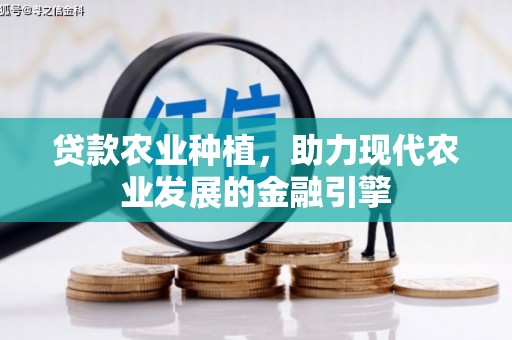 镇巴贷款农业种植，助力现代农业发展的金融引擎