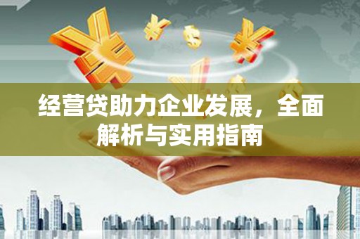 镇巴经营贷助力企业发展，全面解析与实用指南