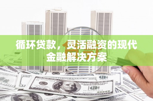 镇巴循环贷款，灵活融资的现代金融解决方案
