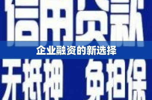 镇巴企业融资的新选择