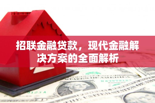 镇巴招联金融贷款，现代金融解决方案的全面解析