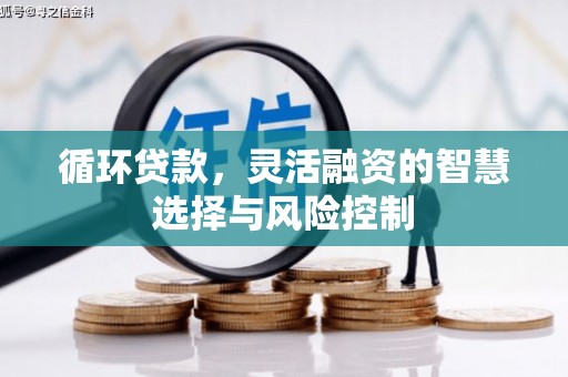 镇巴循环贷款，灵活融资的智慧选择与风险控制